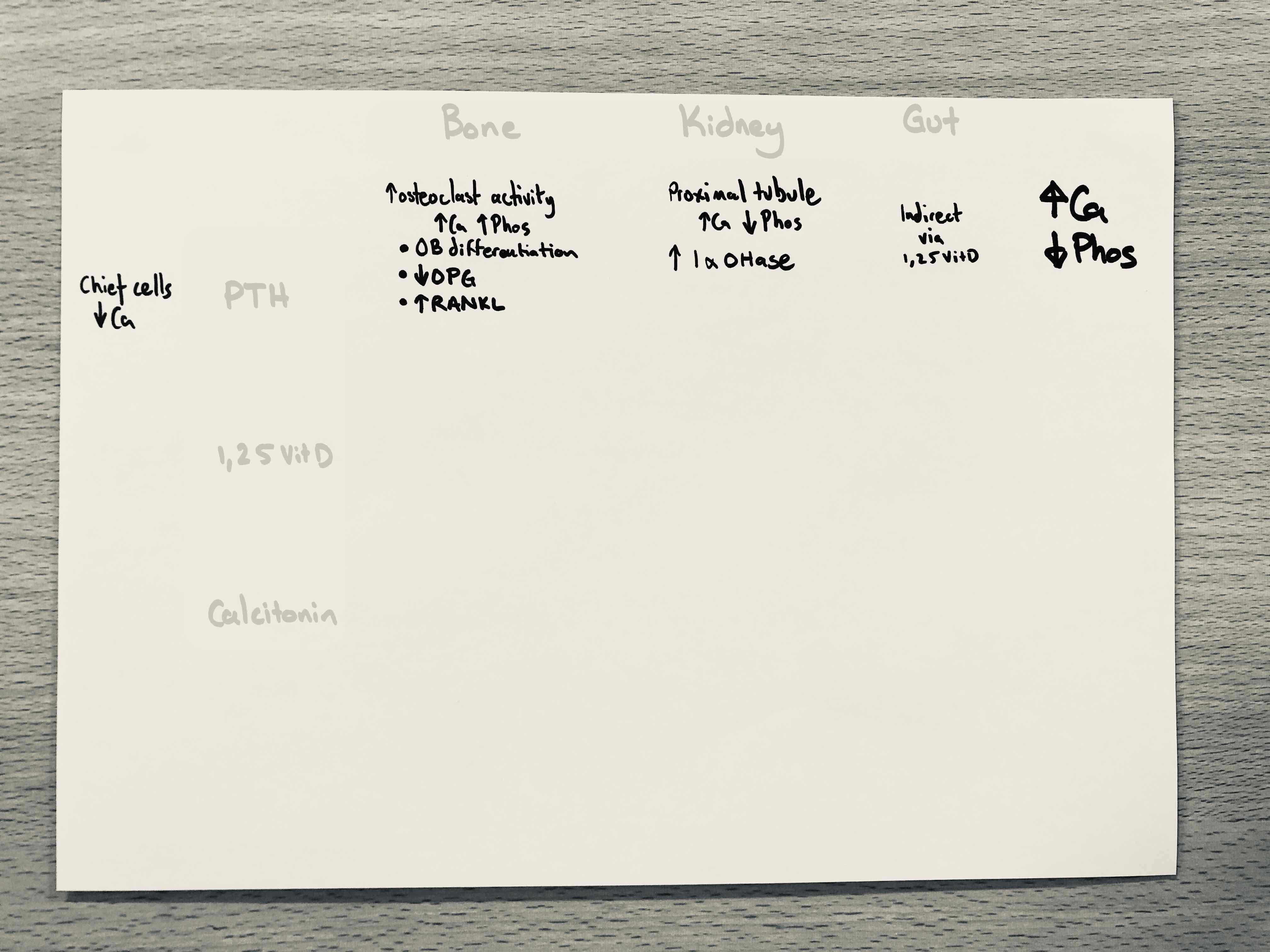 The source and stimulus for PTH, and it’s target organ effects, with global net effect on serum Ca/Phos