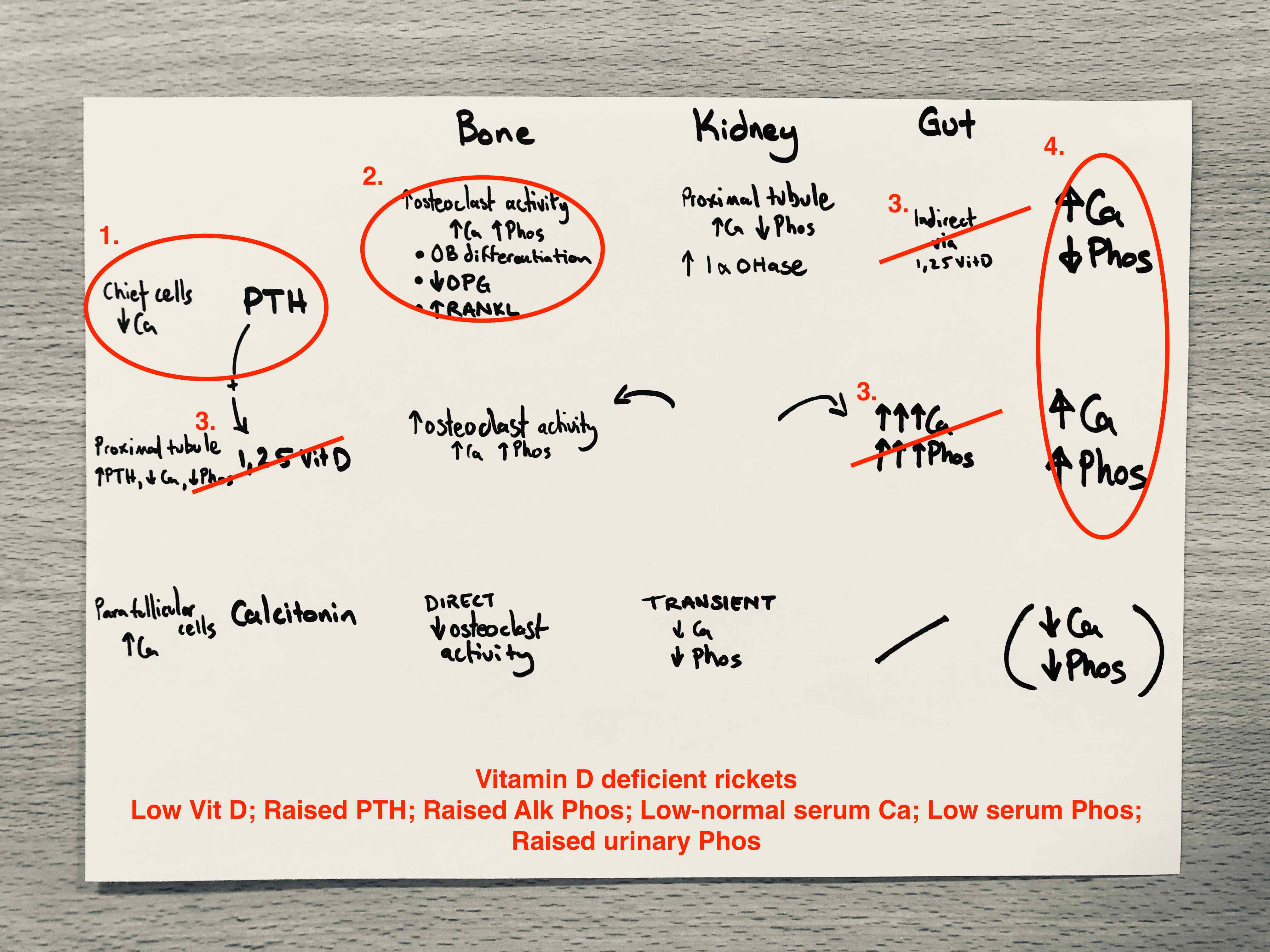 Low Vitamin D uncouples its effect from PTH which supports Ca at the expense of Phos